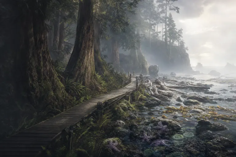Cedar Boardwalk cover art