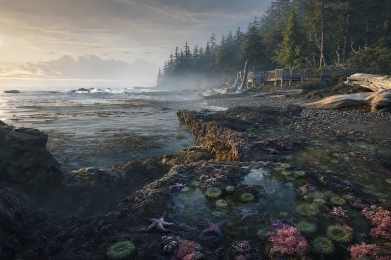 Low Tide Ledge cover art